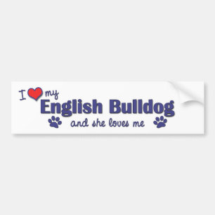 I Love My English Bulldog (Female Dog) Bumper Sticker