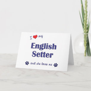 I Love My English Setter (Female Dog) Card