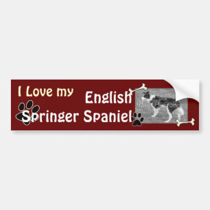 I love my English Springer Spaniel Bumper Sticker