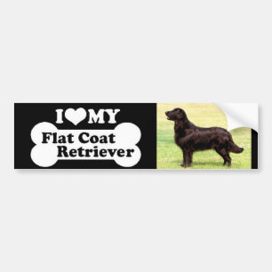 I love my Flat Coated Retriever Bumper Sticker
