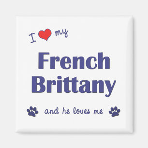 I Love My French Brittany (Male Dog) Magnet