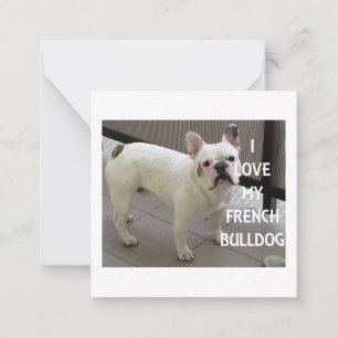 I Love My French Bulldog Card