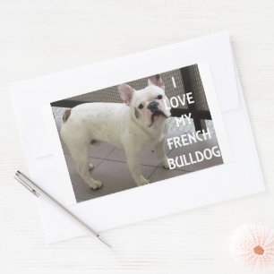 I Love My French Bulldog Sticker