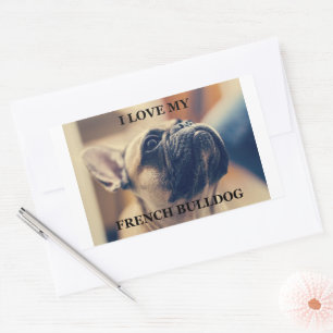 I Love My French Bulldog Sticker