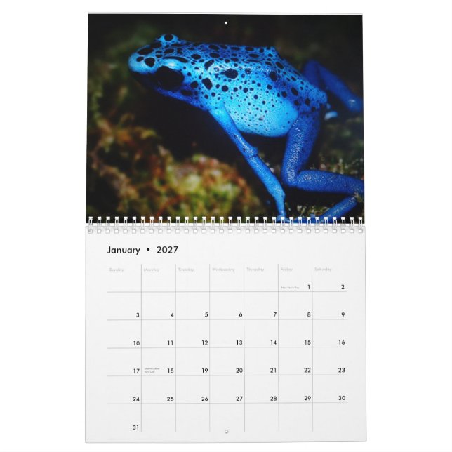 I love my Frogs Custom Printed Calendar (Jan 2027)
