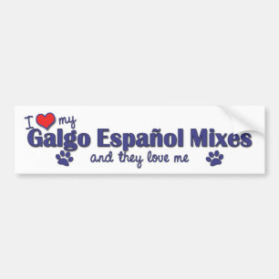 I Love My Galgo Espanol Mixes (Multiple Dogs) Bumper Sticker