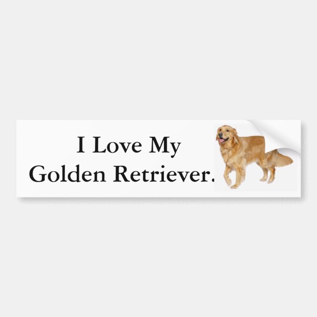 I Love My Golden Retriever Bumper Sticker (Front)