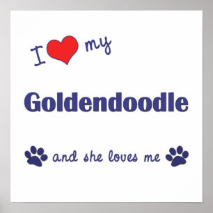 I Love My Goldendoodle (Female Dog) Poster Print