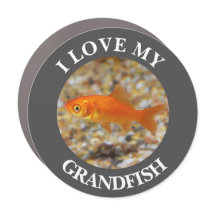I LOVE MY GRANDFISH car magnet