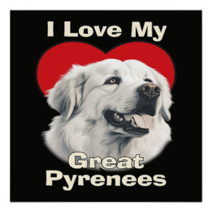 I love My Great Pyrenees Dog Poster