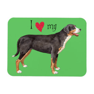 I Love my Greater Swiss Mountain Dog Magnet