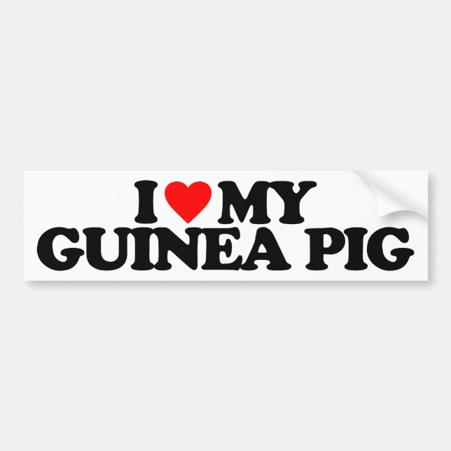 I LOVE MY GUINEA PIG BUMPER STICKER (Front)