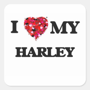 I love my Harley Square Sticker