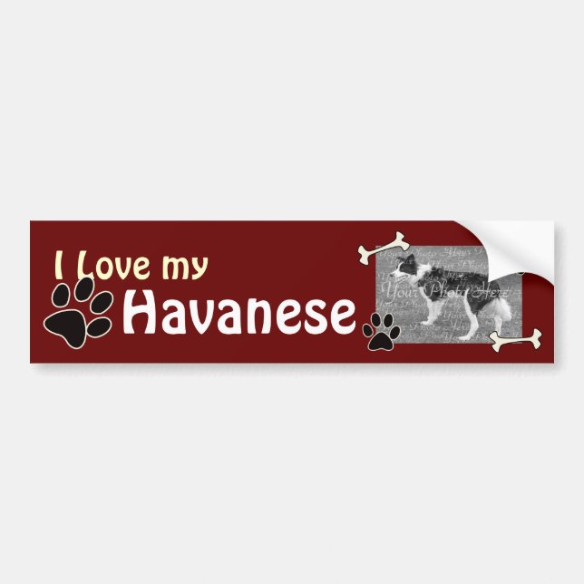 I love my Havanese Bumper Sticker (Front)