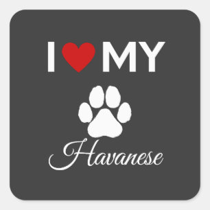 I love my Havanese dog custom text Square Sticker