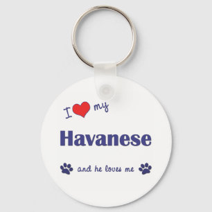 I Love My Havanese (Male Dog) Keychain