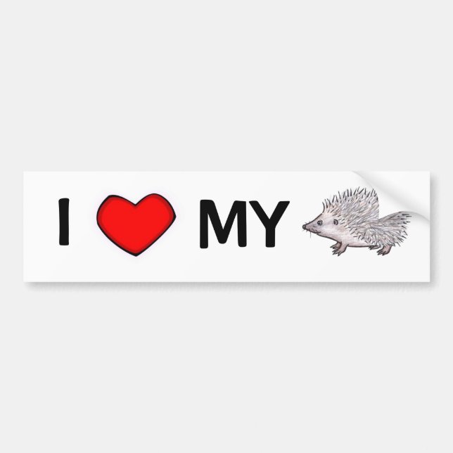 I Love My Hedgehog Bumper Sticker (Front)