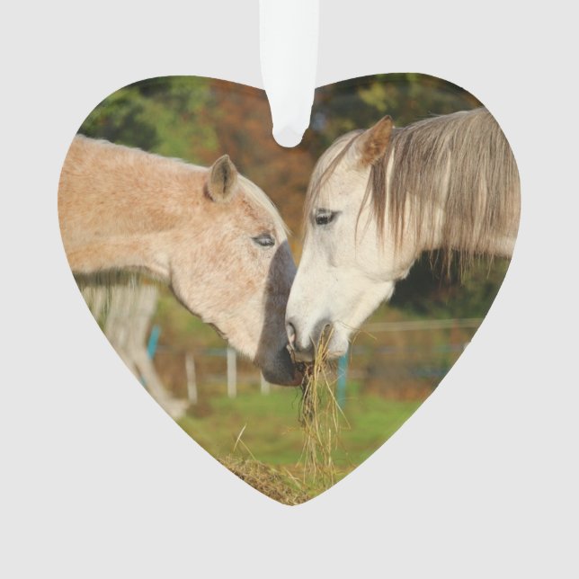 "I Love My Horses" Ornement de Noël (devant)