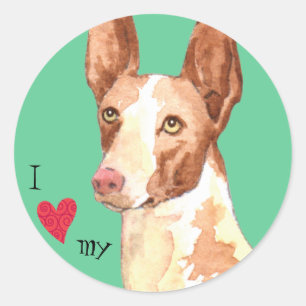 I Love my Ibizan Hound Classic Round Sticker