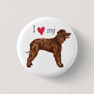 I Love my Irish Water Spaniel 1 Inch Round Button