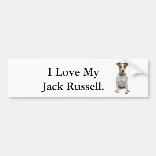 I Love My Jack Russell. Bumper Sticker (Front)
