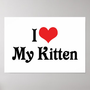 I Love My Kitten Poster