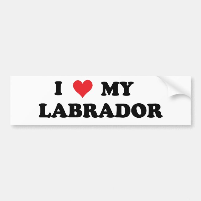 I Love My Labrador Bumper Sticker (Front)