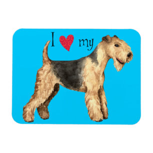 I Love my Lakeland Terrier Magnet