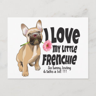 I love my little Frenchie - French bulldog Postcard