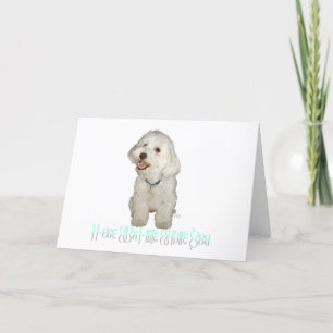 I Love My Little White Dog - Havanese Card