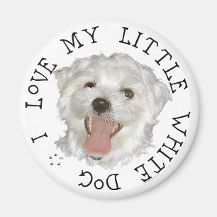 I Love My Little White Dog Maltese Magnet