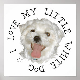 I Love My Little White Dog Maltese Poster