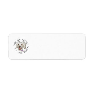 I Love My Little White Dog Poodle / Bichon Mix