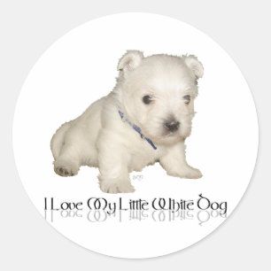 I Love My Little White Dog - Westie Puppy Classic Round Sticker