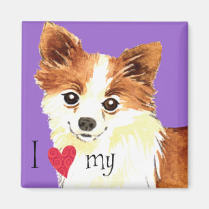 I Love my Long Coat Chihuahua Magnet