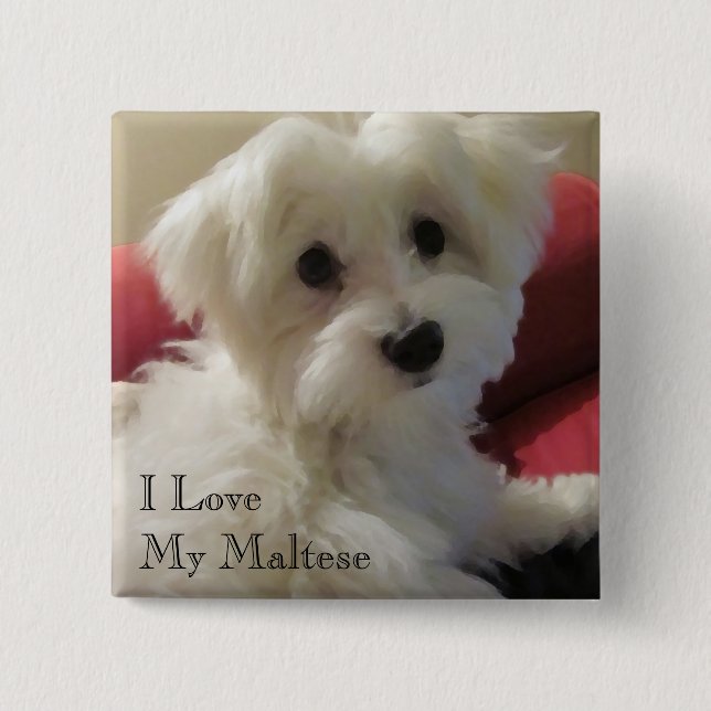 I Love My Maltese Button (Front)