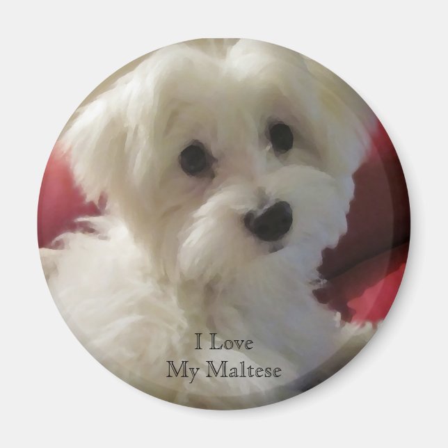I Love My Maltese Magnet (Front)