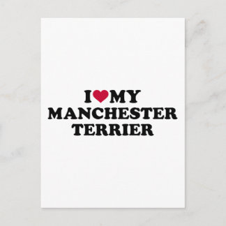 I love my Manchester Terrier Postcard
