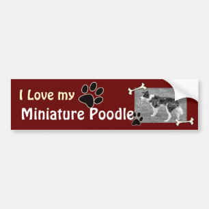 I love my Min Poodle Bumper Sticker