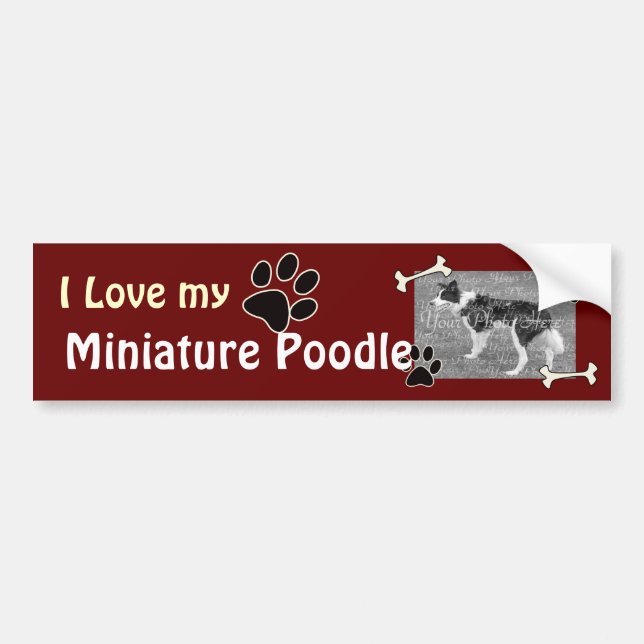 I love my Min Poodle Bumper Sticker (Front)