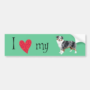 I Love my Mini American Shepherd Bumper Sticker