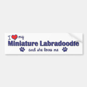I Love My Miniature Labradoodle (Female Dog) Bumper Sticker
