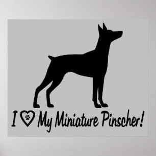 I Love My Miniature Pinscher in Silhouette Poster