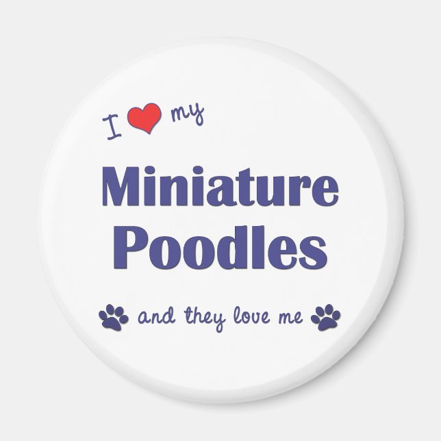 I Love My Miniature Poodles (Multiple Dogs) Magnet (Front)