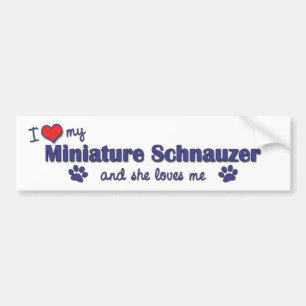 I Love My Miniature Schnauzer (Female Dog) Bumper Sticker