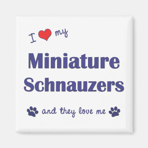 I Love My Miniature Schnauzers (Multiple Dogs) Magnet