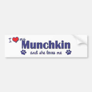 I Love My Munchkin (Female Cat) Bumper Sticker