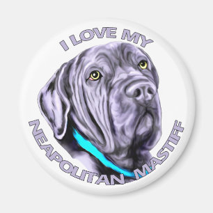 I Love my Neapolitan Mastiff Magnet