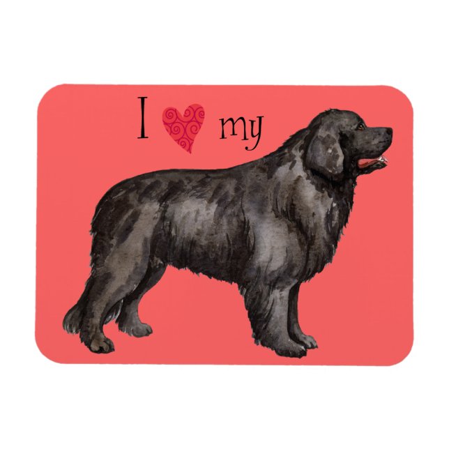 I Love my Newfoundland Magnet (Horizontal)