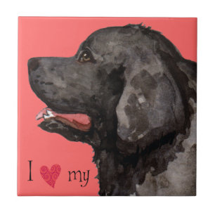 I Love my Newfoundland Tile